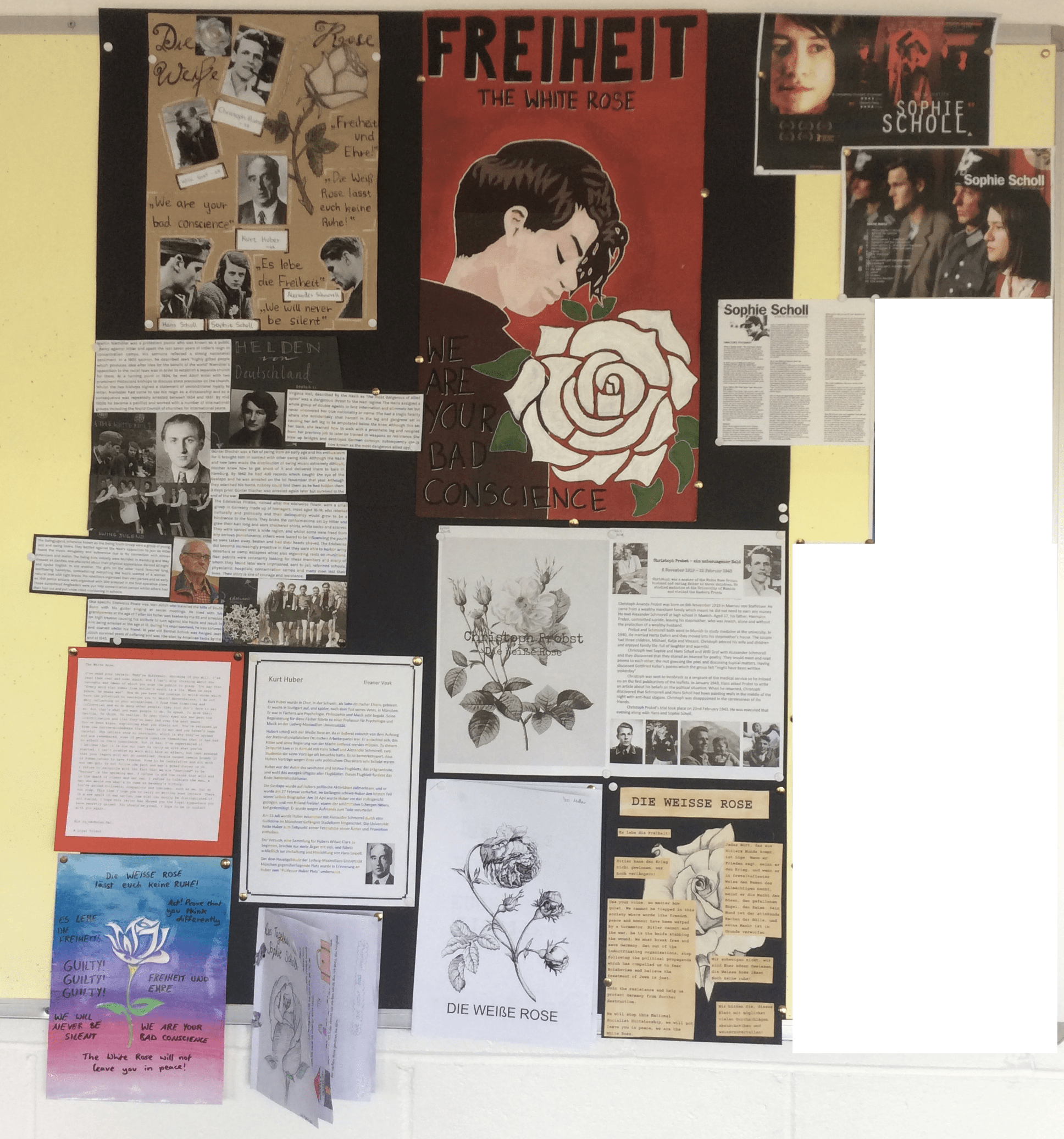 Work with Schools WHITE ROSE PROJECT