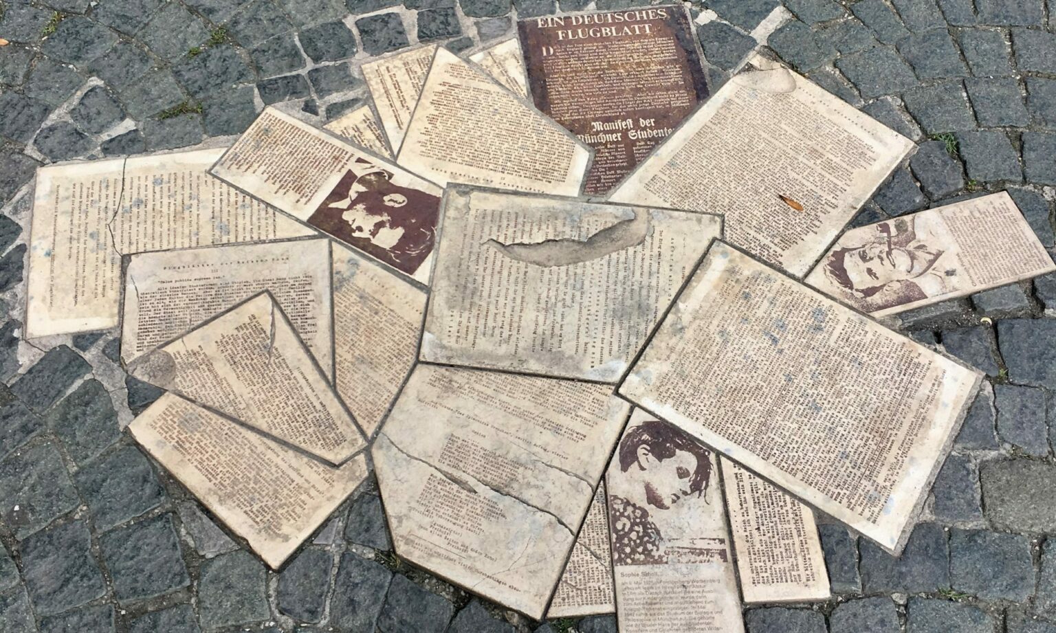 The White Rose and the Uses of Culture WHITE ROSE PROJECT