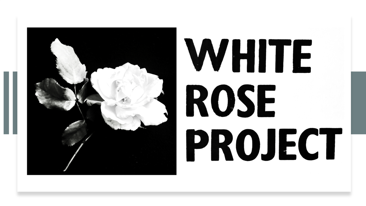 White Rose Translation Project 20202021 WHITE ROSE PROJECT