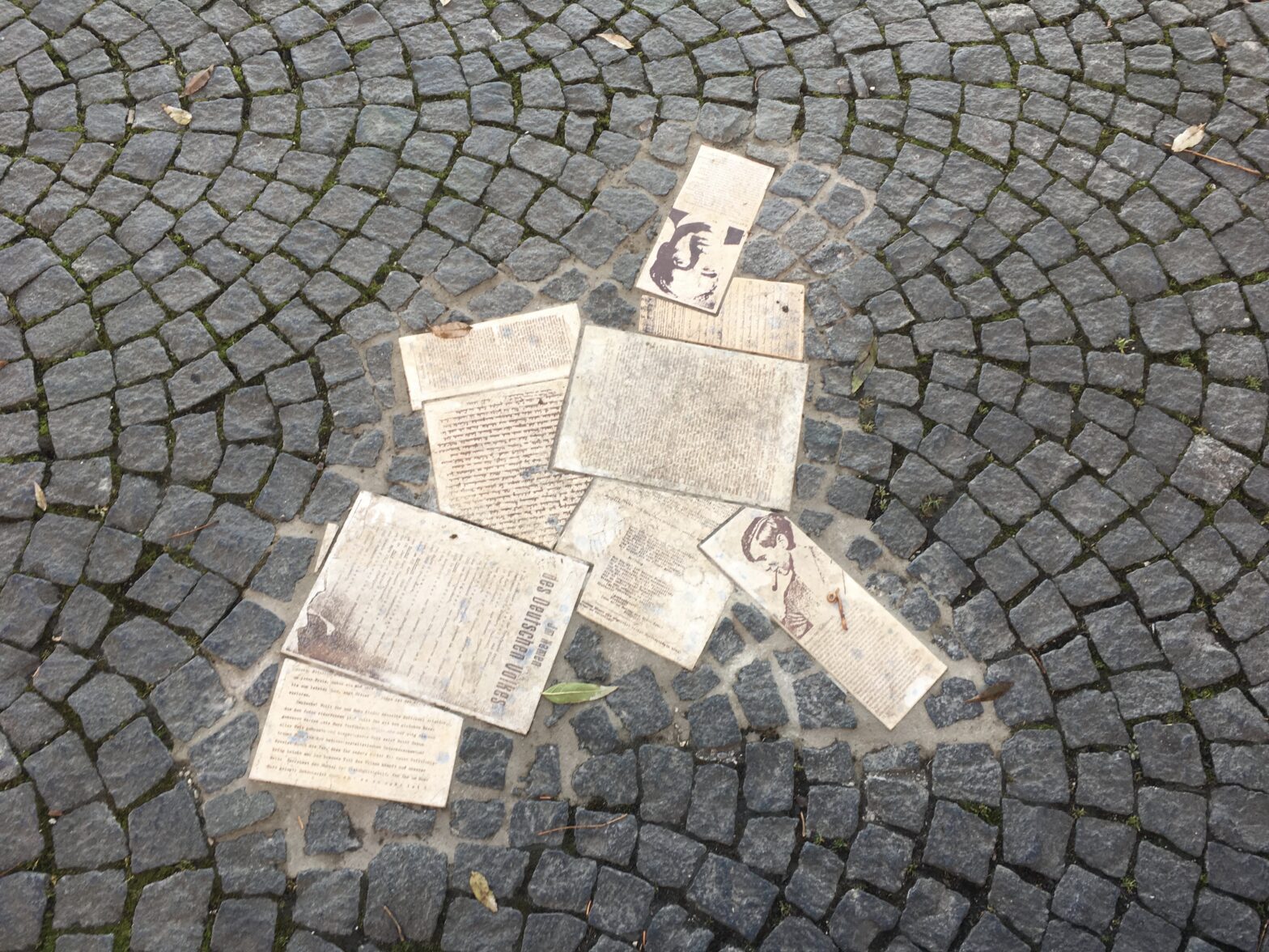 Introducing the 2019 Student Translators – WHITE ROSE PROJECT