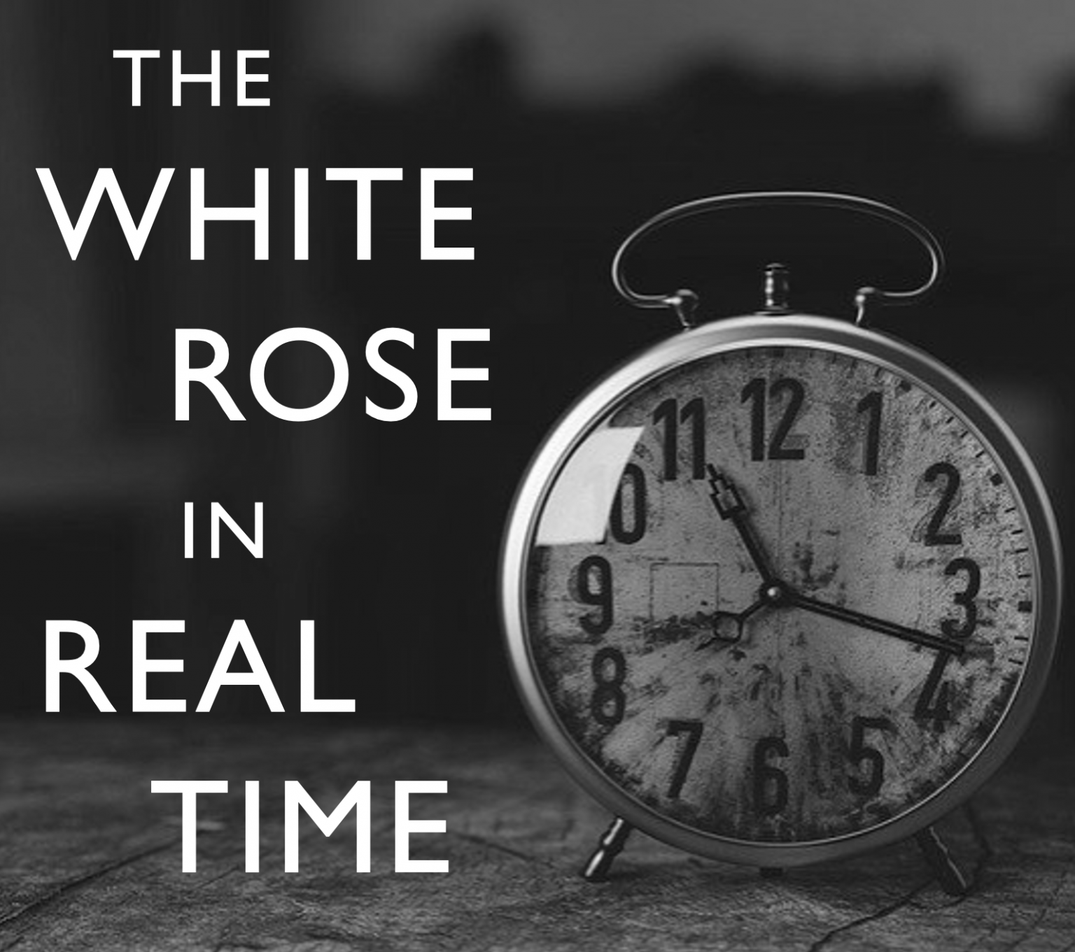 White Rose in Real Time 2023 – WHITE ROSE PROJECT